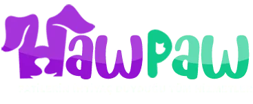Deniz Turizm